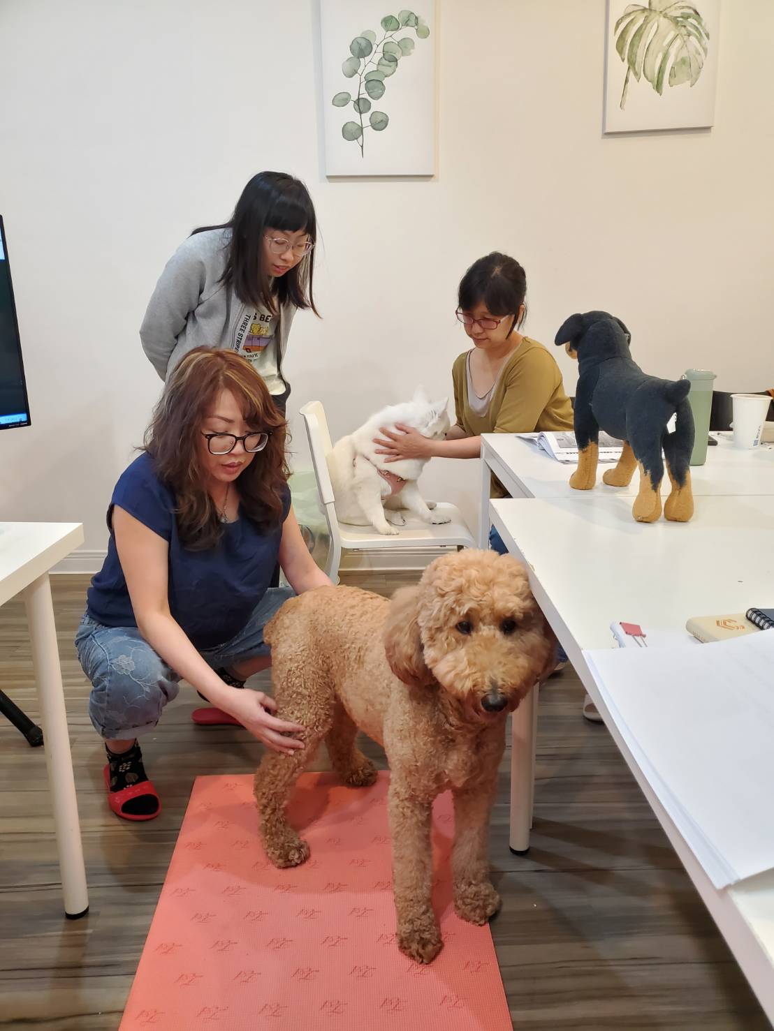 寵物按摩師認證課程